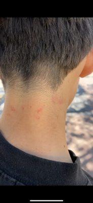 Reactions Barbershop