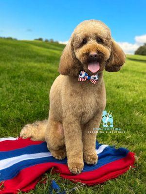 Paw Couture Pet Grooming