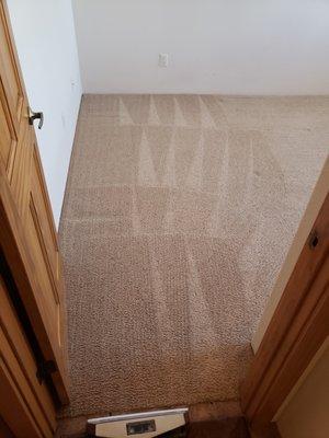 Abq Steamaway Carpet Cleaning
