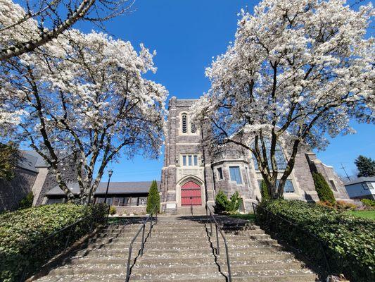 Westminster Presbyterian