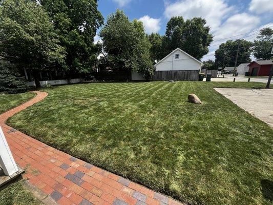 freshly cut lawn client was happy | schedule your services today - 3175999067
