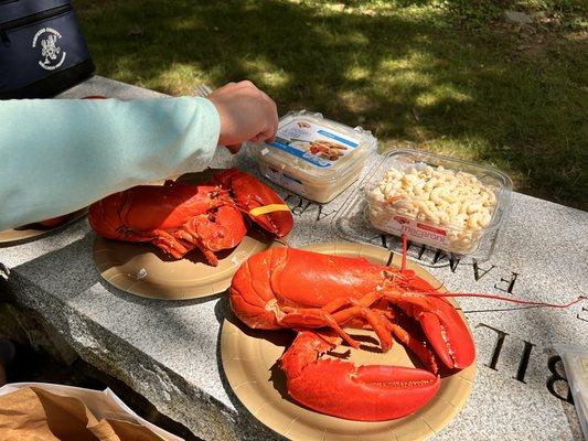 Off the Boat Lobsters