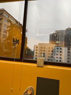 Bellevue Azalea Dentistry