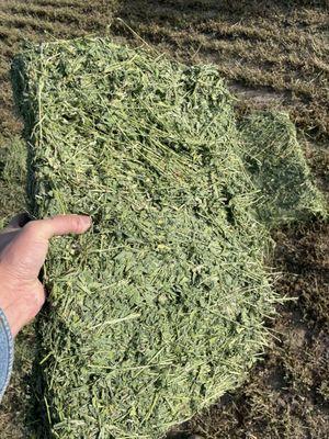 Premium alfalfa that sells itself !!!