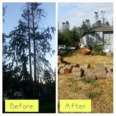Sonshine Tree Care