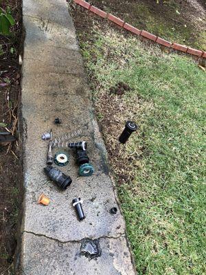 They can trouble shoot and fix irrigation