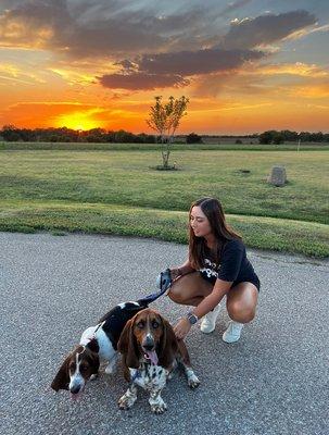 Payton’s Dog Service