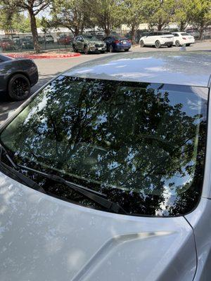 Promising Auto Glass