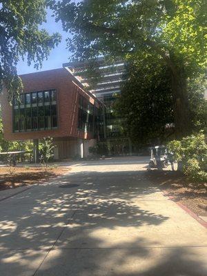 Chico State Wildcat Store