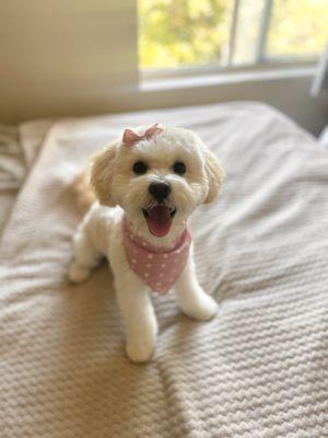 She leaves her super fluffy and smells amazing