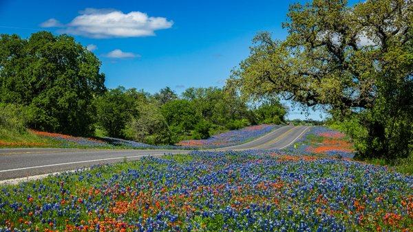Stonepoint Driving School