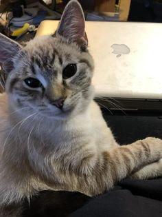 Jackson Hwy Veterinary Clinic