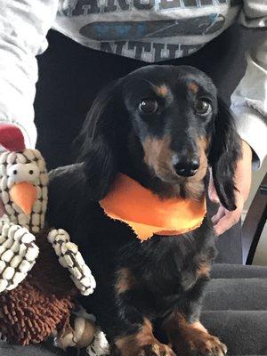 Another successful trip to Happy Tails