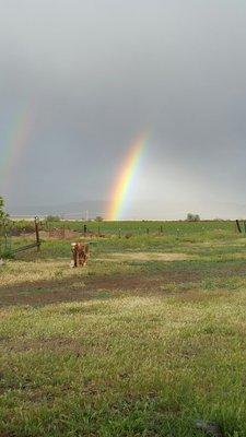 Free Will Baptist Children's Home