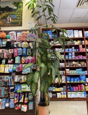 S & T Pharmacie
