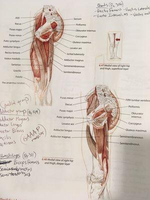 Benjamin Montes, LMT