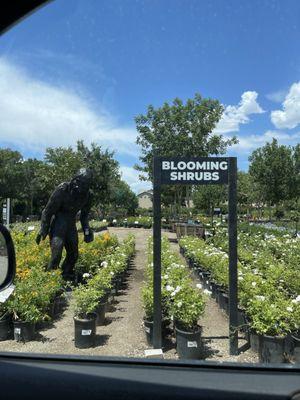 Natures Personal Landscaping