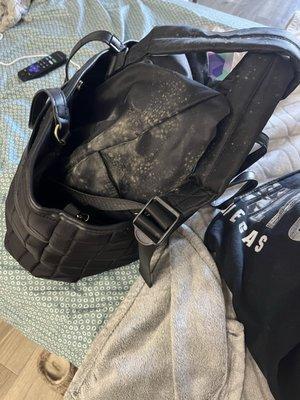 Mold on my bag when I decided to move