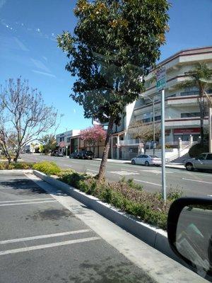 Marcia's services location