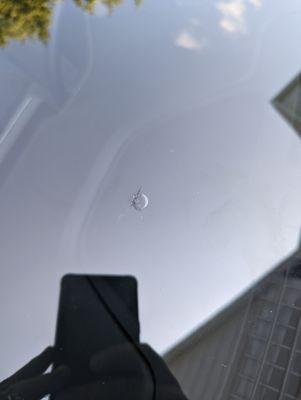 Vision Glass & Recon