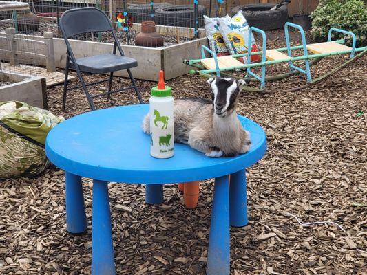 Little Hands Garden School