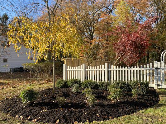 Sure Landscape & Design