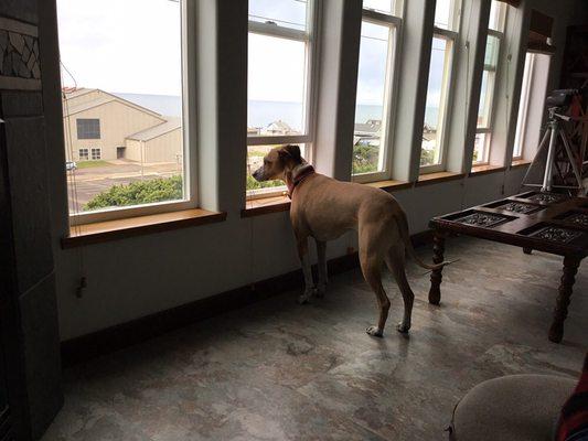 Captains Quarters at Nye Beach