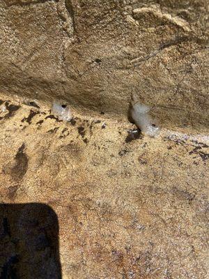 Remackel Outdoor Services