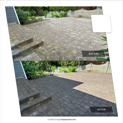 Window Cleaning & More