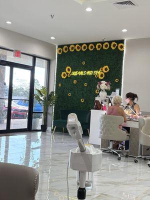 Luxe Nails and Spa Salon