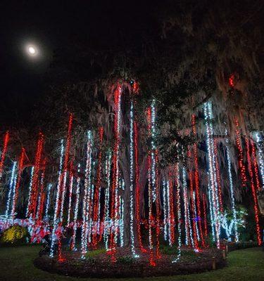 Nights of a Thousand Candles