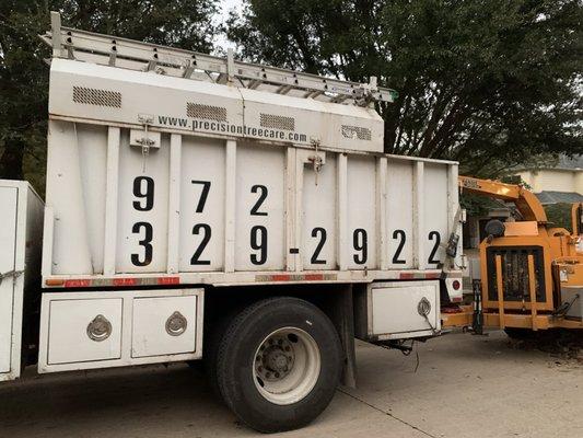 Precision Tree Care & Landscape