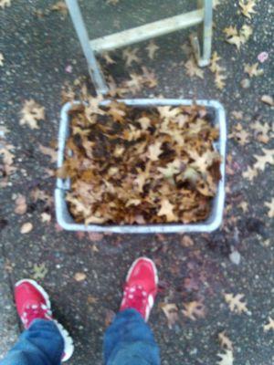 Gutter Clutter Removal