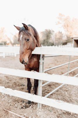 Canyon Country Equestrian Center