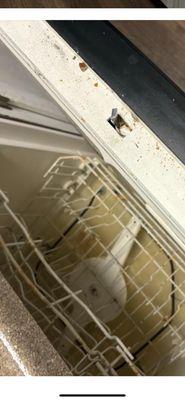 Springhouse Apartments