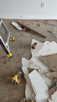 Twin Dumping Services