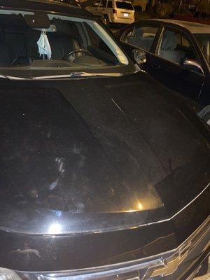 After the car wash......,