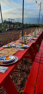 The Root 66 Community Garden