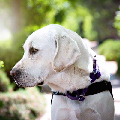 Amanda Engel Photography