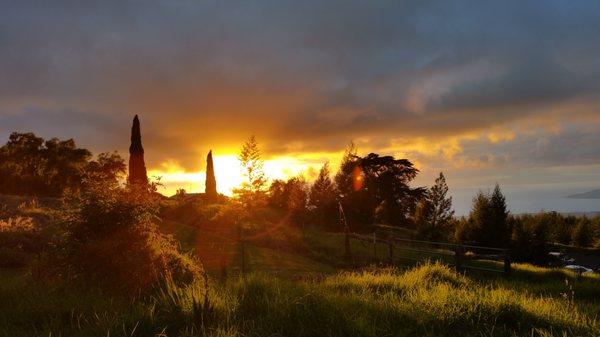 The Upcountry Massage Company