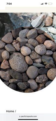 Best in the northwest landscaping and pressure washer services