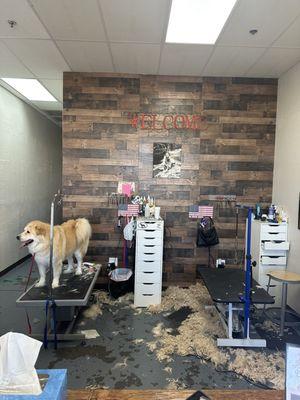 Not my dog, but a cutie for sure.