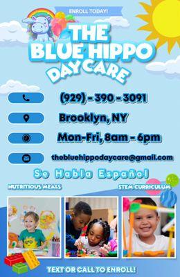 The Blue Hippo Daycare