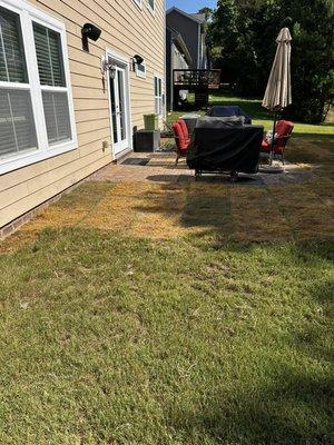 Sod repair and install