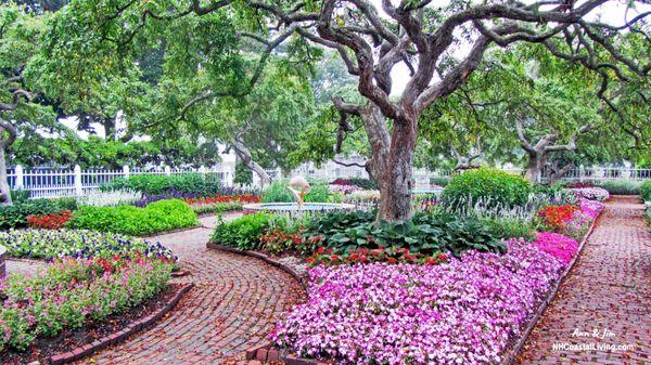 Ann Cummings - RE/MAX Shoreline