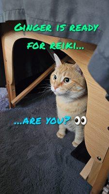 Lottisage Essentials