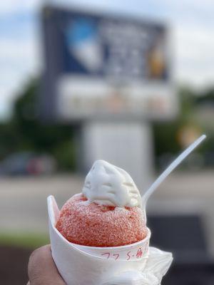 parrot head Stuffed SnoBall