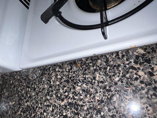 Kenmore Realty Group