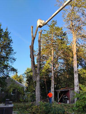 Plymouth Rock Assurance