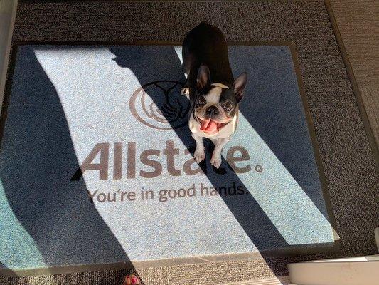 Sulema Lambert: Allstate Insurance